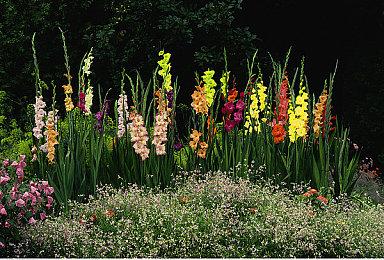 《漫威金刚狼》两段新预告片泄露 画面效果极佳